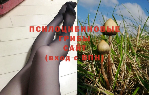 дмт Баксан